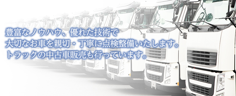 豊富なノウハウ、優れた技術で大切なお車を親切・丁寧に点検整備いたします。トラックの中古車販売も行っています。